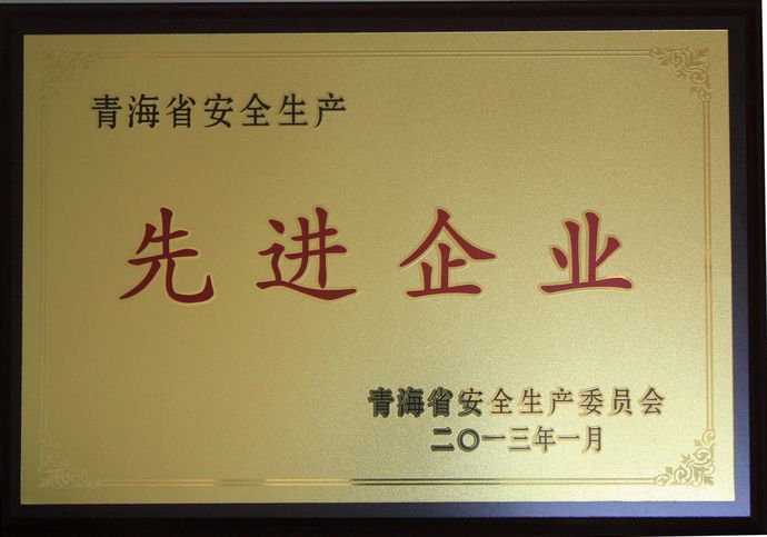 青海物產(chǎn)榮獲“2012年度安全生產(chǎn)先進(jìn)企業(yè)”榮譽(yù)稱(chēng)號(hào)